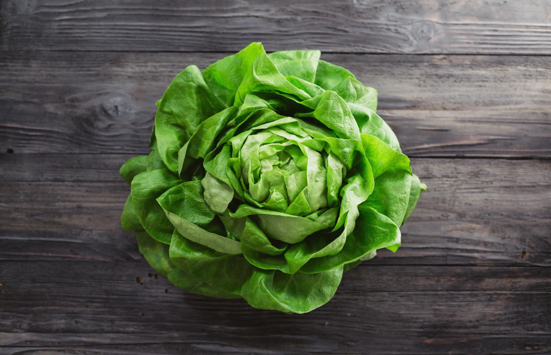 Lettuce
